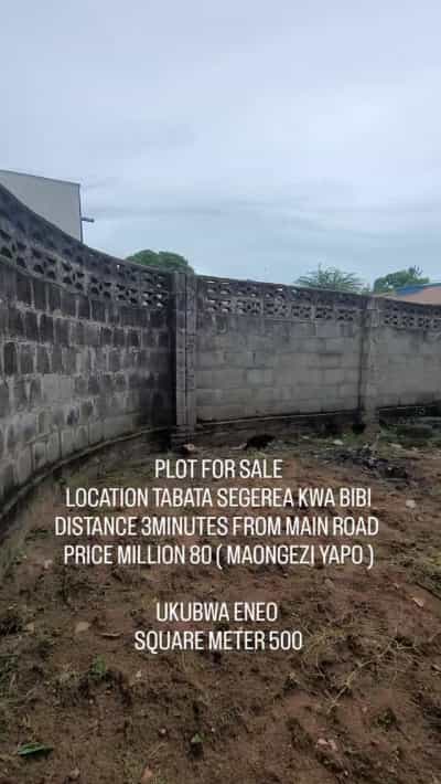 Kiwanja kinauzwa Tabata Segerea Kwa Bibi, Dar Es Salaam (500 sqm)