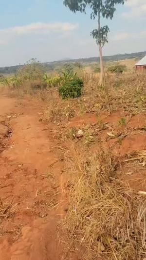 House for Sale in Kitonga, Ruvuma (800 sqm) House for Sale in Kitonga, Ruvuma (800 sqm)