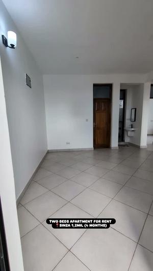 Apartment ya vyumba viwili inapangishwa Sinza, Dar Es Salaam Apartment ya vyumba viwili inapangishwa Sinza, Dar Es Salaam