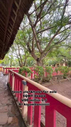 Beach Plot for Sale in Kigamboni, Dar Es Salaam (84000 sqm)