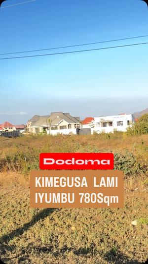 Plot for sale in Iyumbu, Dodoma sqm 780 Plot for sale in Iyumbu, Dodoma sqm 780