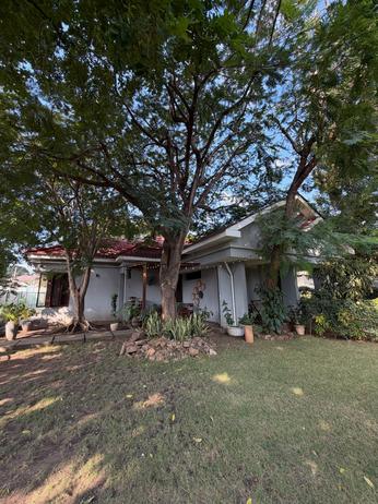 3 Bedrooms House for Rent in Masaki, Dar Es Salaam 3 Bedrooms House for Rent in Masaki, Dar Es Salaam