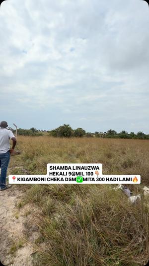 Viwanja (Commercial Plots) vinauzwa Kigamboni Cheka, Dar Es Salaam (9 acre) Viwanja (Commercial Plots) vinauzwa Kigamboni Cheka, Dar Es Salaam (9 acre)