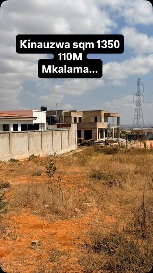 Residential Plot for Sale in Mkalama Ushuani, Morogoro (1350 sqm) Residential Plot for Sale in Mkalama Ushuani, Morogoro (1350 sqm)