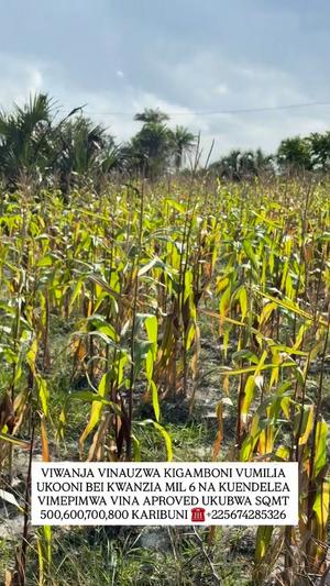 Residential Plots for Sale in Vumilia Ukooni, Tabora