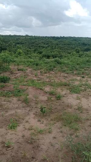 Shamba linauzwa Kifuru, Kisarawe, Pwani acre 3 Shamba linauzwa Kifuru, Kisarawe, Pwani acre 3