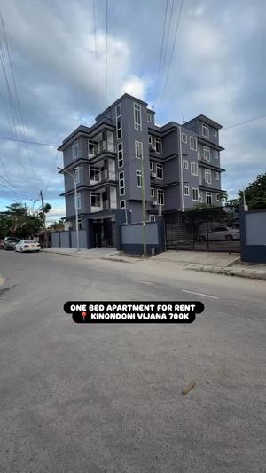 Nyumba ya chumba kimoja inapangishwa Kinondoni Vijana, Dar Es Salaam