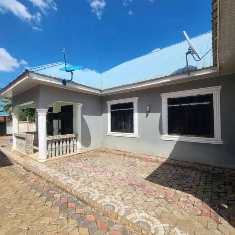 media -1 media -1