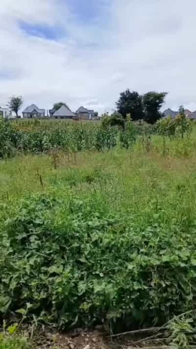 Plot for sale in Iwambi, Mbeya sqm 563