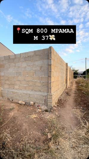 Kiwanja kinauzwa Dodoma sqm 800 Kiwanja kinauzwa Dodoma sqm 800