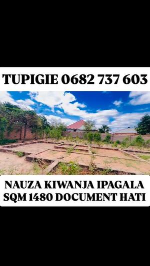Kiwanja kinauzwa Ipagala, Dodoma sqm 1480
