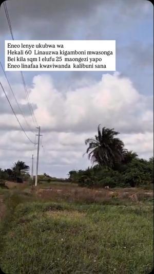 Kiwanja (Industrial Plot) inauzwa Kigamboni Mwasonga, Dar Es Salaam (60 acre)