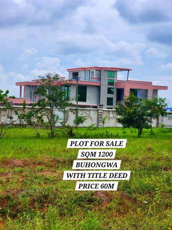 Residential Plot for Sale in Buhongwa, Mwanza (1200 sqm) Residential Plot for Sale in Buhongwa, Mwanza (1200 sqm)