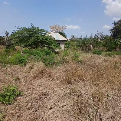 Kiwanja kinauzwa Madale Msigani, Dar Es Salaam (400 sqm) Kiwanja kinauzwa Madale Msigani, Dar Es Salaam (400 sqm)