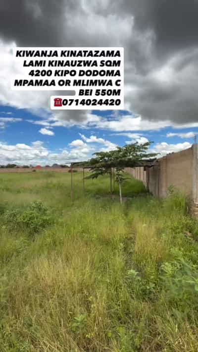 Commercial Plot for Sale in Mlimwa C Mpamaa, Dodoma (4200 sqm)