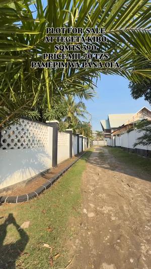 Plot for sale in Tegeta Kibo, Dar Es Salaam sqm 390 Plot for sale in Tegeta Kibo, Dar Es Salaam sqm 390