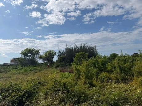 Beach Plot kinauzwa Makunduchi, Zanzibar - Unguja South (9800 sqm)