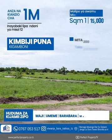 Plots for sale in Kimbiji Puna, Dar Es Salaam sqm 500 Plots for sale in Kimbiji Puna, Dar Es Salaam sqm 500