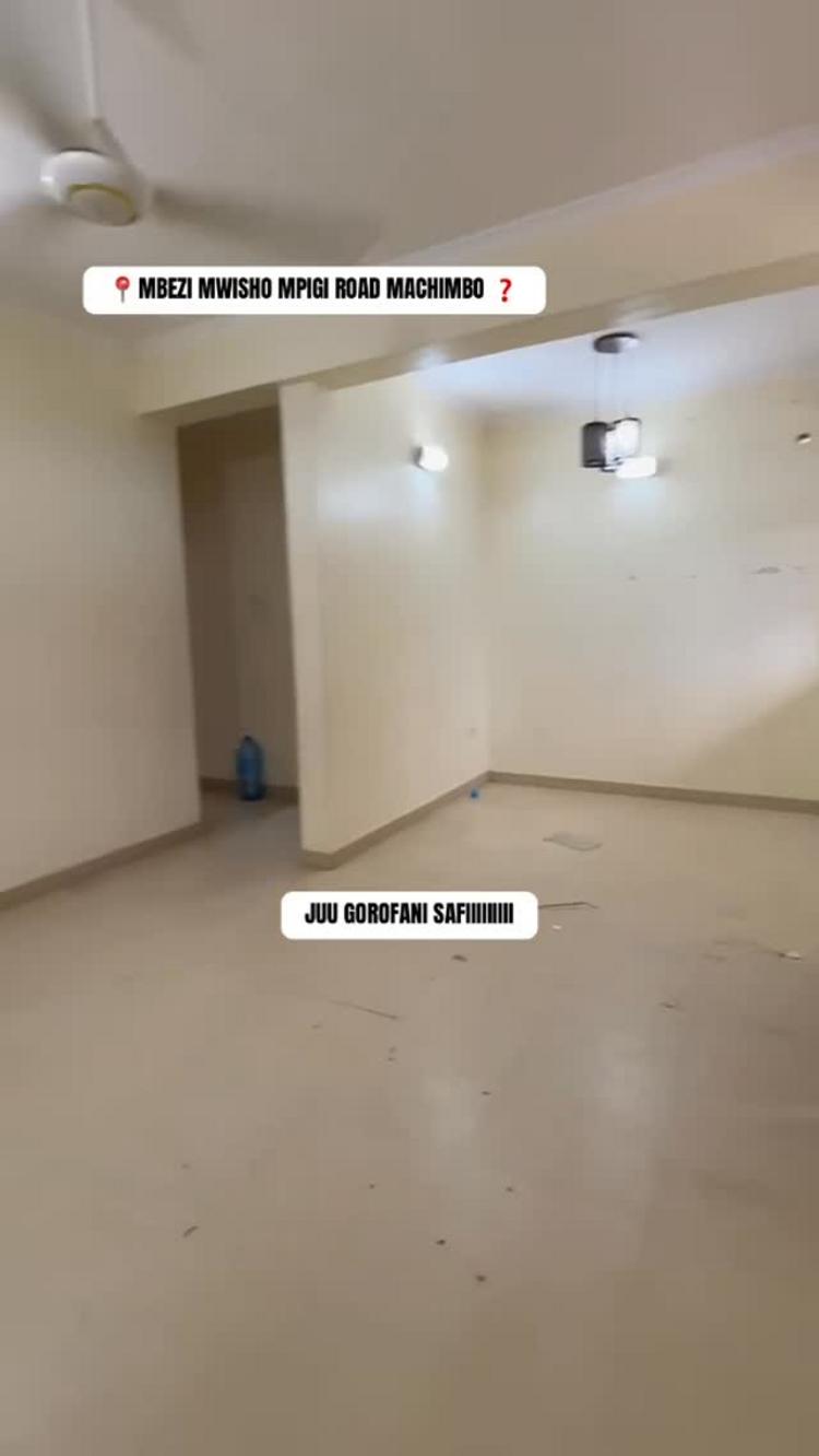 media -3