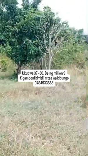 Kiwanja kinauzwa Kigamboni Kimbiji - Mtaa wa Kibungo, Dar Es Salaam (1110 sqm) Kiwanja kinauzwa Kigamboni Kimbiji - Mtaa wa Kibungo, Dar Es Salaam (1110 sqm)