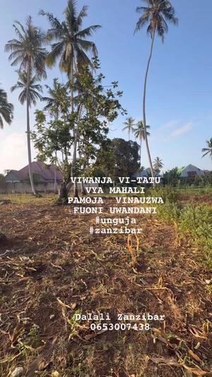 Kiwanja kinauzwa Fuoni Uwandani, Zanzibar - Unguja South