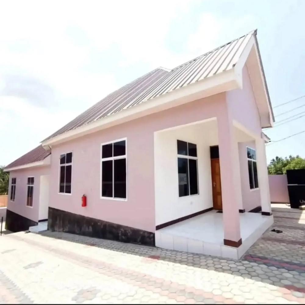 media -4