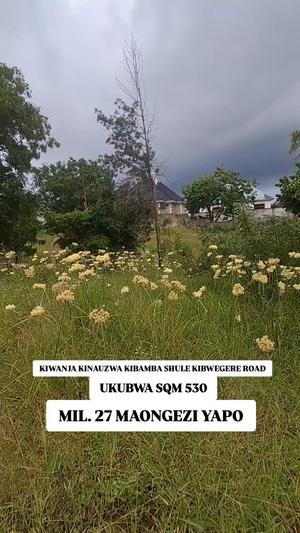 Residential Plot for Sale in Kibamba Shule Kibwegere, Dar Es Salaam (530 sqm)