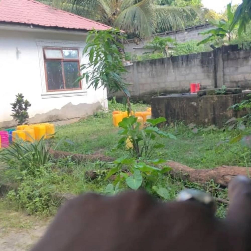 media -4 media -4