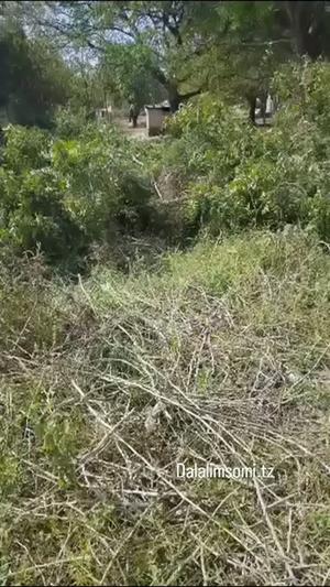Plot for sale in Madale Mivumoni, Dar Es Salaam sqm 1800 Plot for sale in Madale Mivumoni, Dar Es Salaam sqm 1800