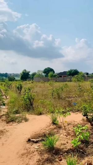 Residential Plot for Sale in Bunju Beach, Dar Es Salaam (1481 sqm) Residential Plot for Sale in Bunju Beach, Dar Es Salaam (1481 sqm)