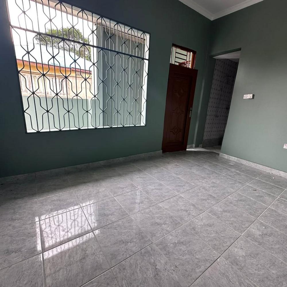 media -5