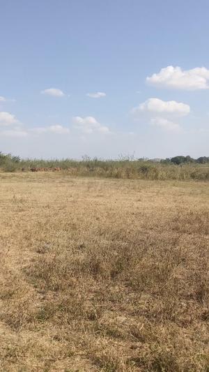 Beach Plot kinauzwa Kayenze, Mwanza (2.5 acre) Beach Plot kinauzwa Kayenze, Mwanza (2.5 acre)