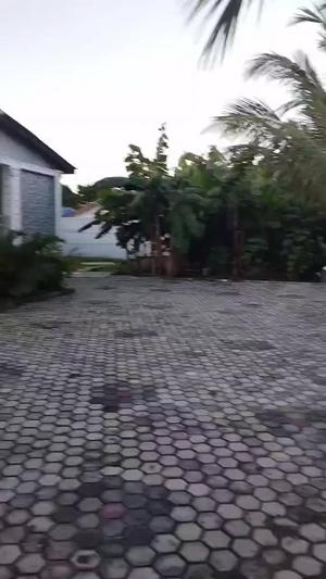 4 Bedrooms House for Rent in Sinza, Dar Es Salaam 4 Bedrooms House for Rent in Sinza, Dar Es Salaam