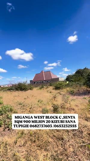Residential Plot for Sale in Miganga Block C, Dodoma (900 sqm)