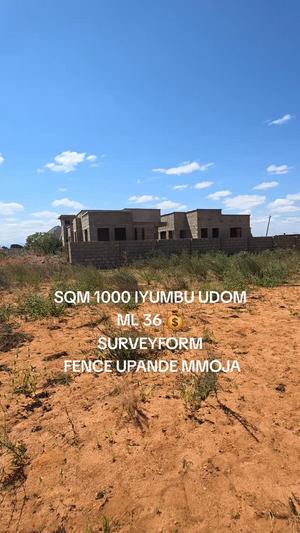 Kiwanja kinauzwa Iyumbu, Dodoma (1000 sqm)