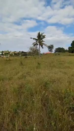 Plot for sale in Kibamba Shule, Dar Es Salaam sqm 600 Plot for sale in Kibamba Shule, Dar Es Salaam sqm 600