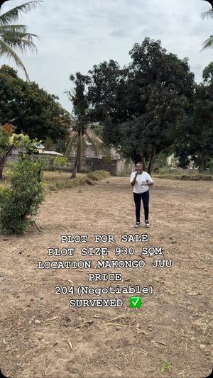Kiwanja kinauzwa Makongo Juu, Dar Es Salaam sqm 930 Kiwanja kinauzwa Makongo Juu, Dar Es Salaam sqm 930