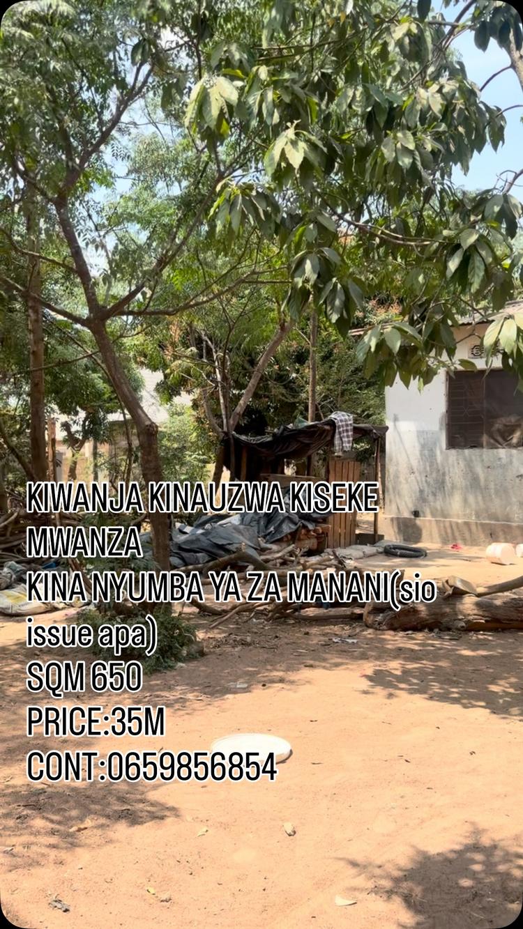 media -1 media -1
