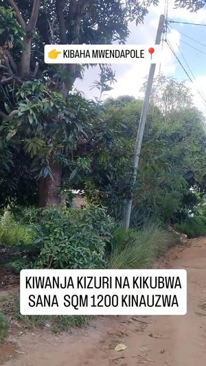 Residential Plot for Sale in Kibaha Mwendapole, Pwani (1200 sqm) Residential Plot for Sale in Kibaha Mwendapole, Pwani (1200 sqm)