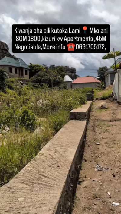 Kiwanja kinauzwa Mkolani, Mwanza (1800 sqm)