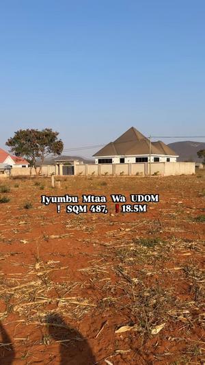 Kiwanja kinauzwa Iyumbu Udom, Dodoma sqm 487 Kiwanja kinauzwa Iyumbu Udom, Dodoma sqm 487