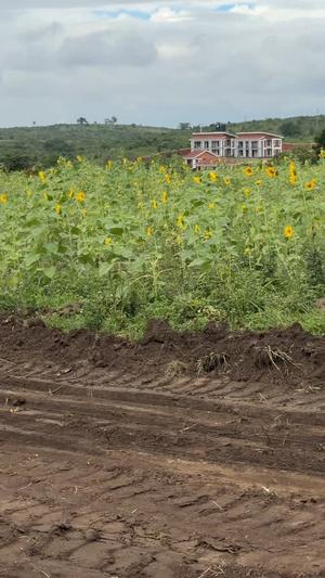 Residential Plots for Sale in Kibaha Maili Moja, Pwani Residential Plots for Sale in Kibaha Maili Moja, Pwani