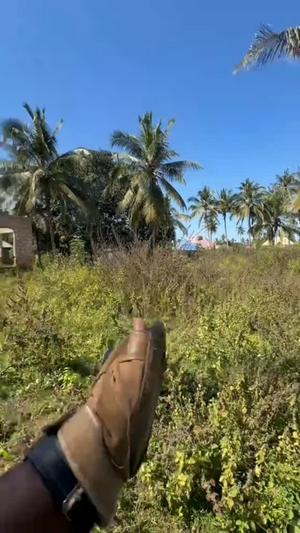 Nyumba ya vyumba vitatu inauzwa Fuoni Kibondeni, Zanzibar - Unguja South (6400 sqm) Nyumba ya vyumba vitatu inauzwa Fuoni Kibondeni, Zanzibar - Unguja South (6400 sqm)