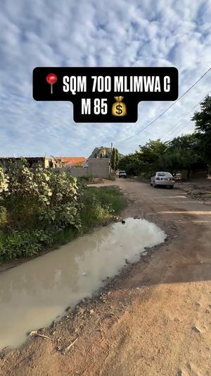 Plot for sale in Mlimwa C, Dodoma sqm 700