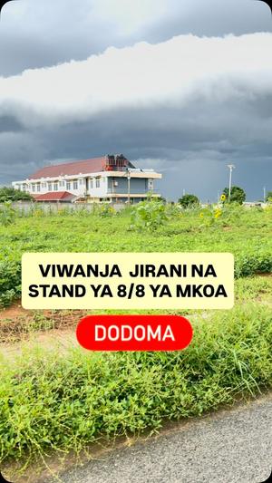 Residential Plot for Sale in Dodoma (1000 sqm)