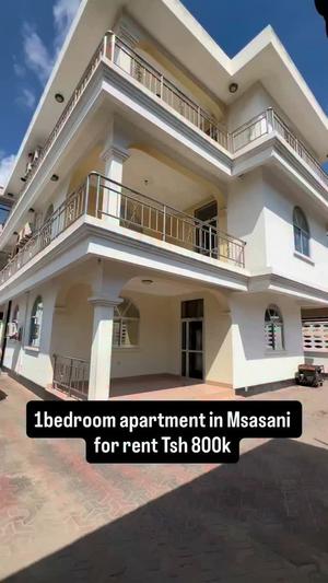 Apartment ya chumba kimoja inapangishwa Msasani, Dar Es Salaam