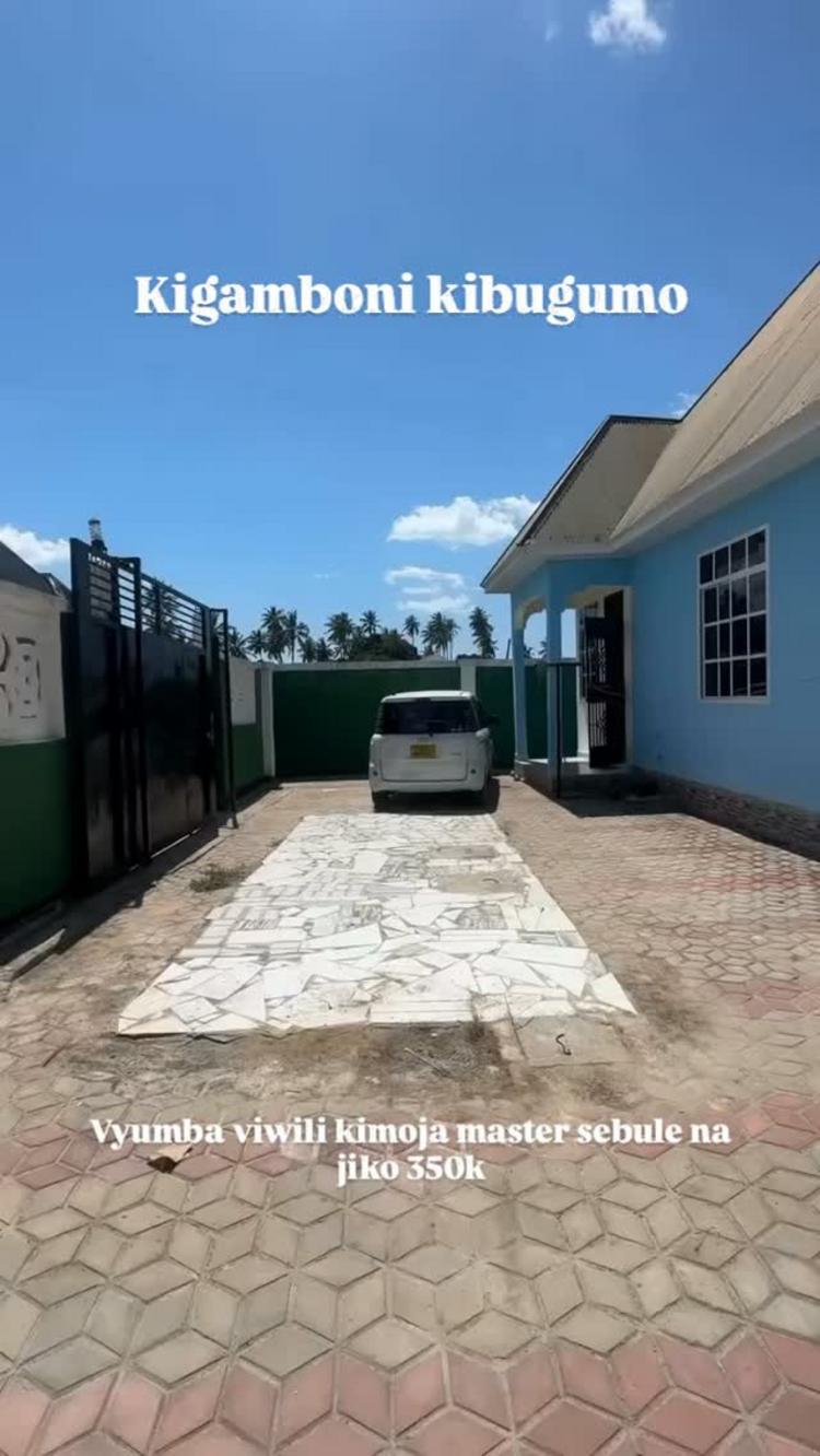 media -1 media -1