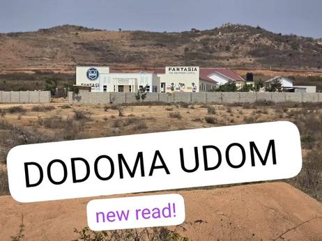 Viwanja vinauzwa Udom Nghonghonha Romani, Dodoma (760 sqm) Viwanja vinauzwa Udom Nghonghonha Romani, Dodoma (760 sqm)