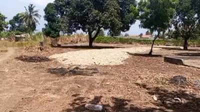 Plot for sale in Kigamboni, Dar Es Salaam
