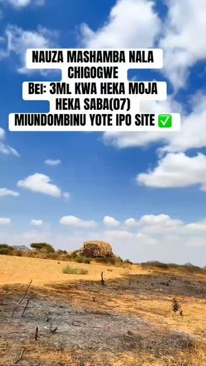 Shamba linauzwa Nala Chigongwe (7 acre)